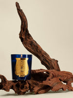 Cire Trudon Tadine Candle