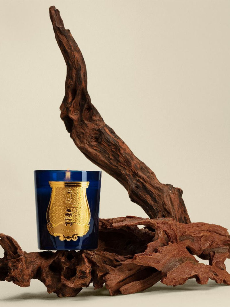 Cire Trudon Tadine Candle